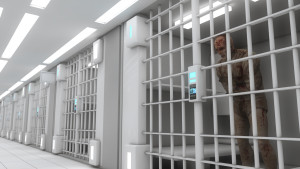 Downward Departure, lawyers 32819