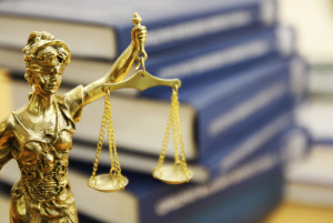Florida Evidence Code, Back Child Support