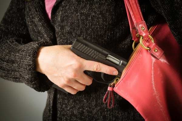 florida conceal carry law