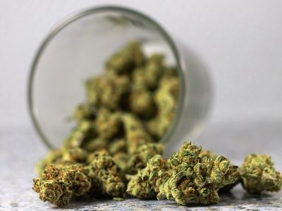 biden's marijuana pardon