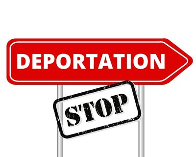 deportation defense lawyer florida
